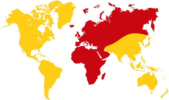 IARU Global Region 1