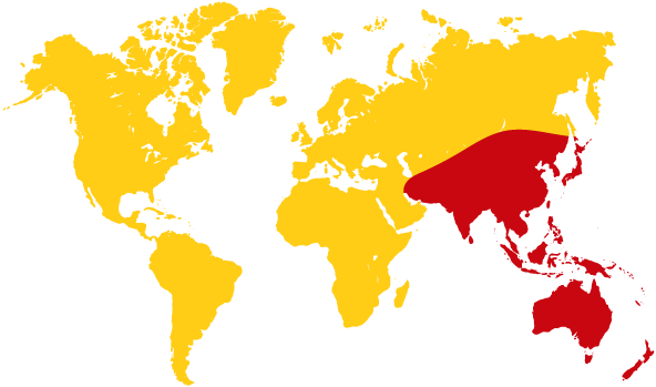 IARU Global Region 3